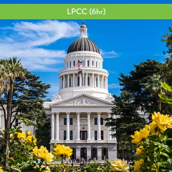 California Social Work CE Bundle (16 CE)
